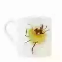 China Mug